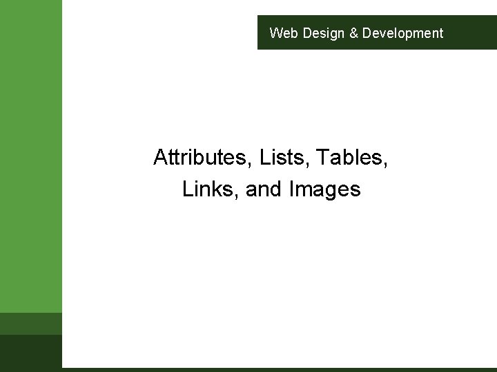 Web Design Development Attributes Lists Tables Links and