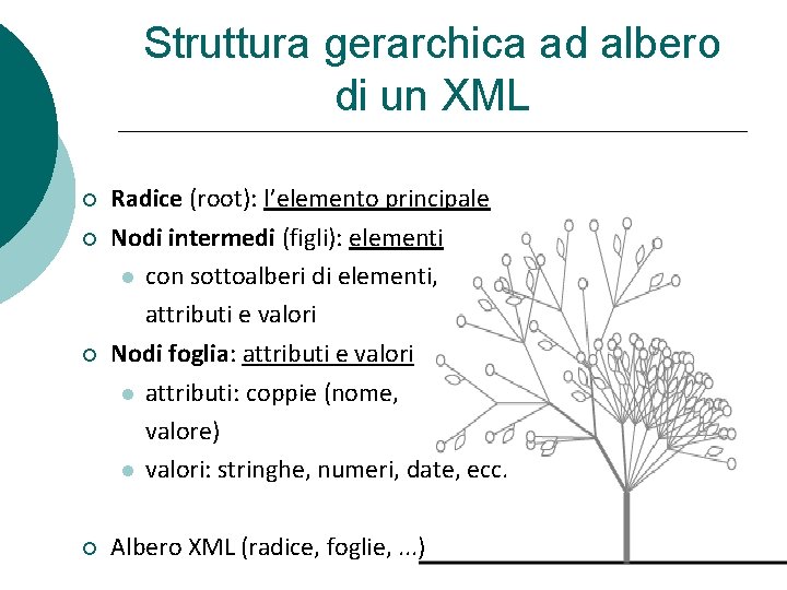 Struttura gerarchica ad albero di un XML Radice (root): l’elemento principale Nodi intermedi (figli):