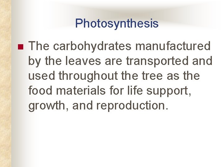 Photosynthesis n The carbohydrates manufactured by the leaves are transported and used throughout the