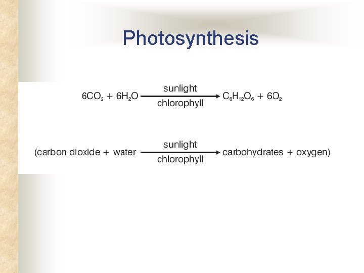 Photosynthesis 