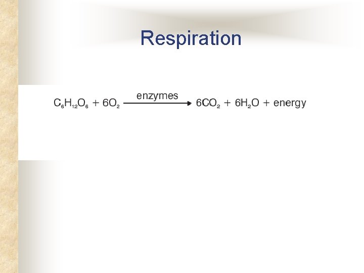 Respiration 