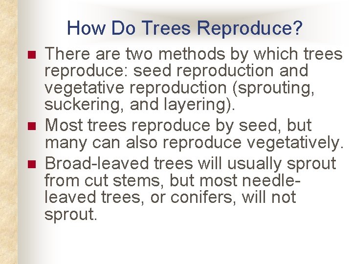 How Do Trees Reproduce? n n n There are two methods by which trees