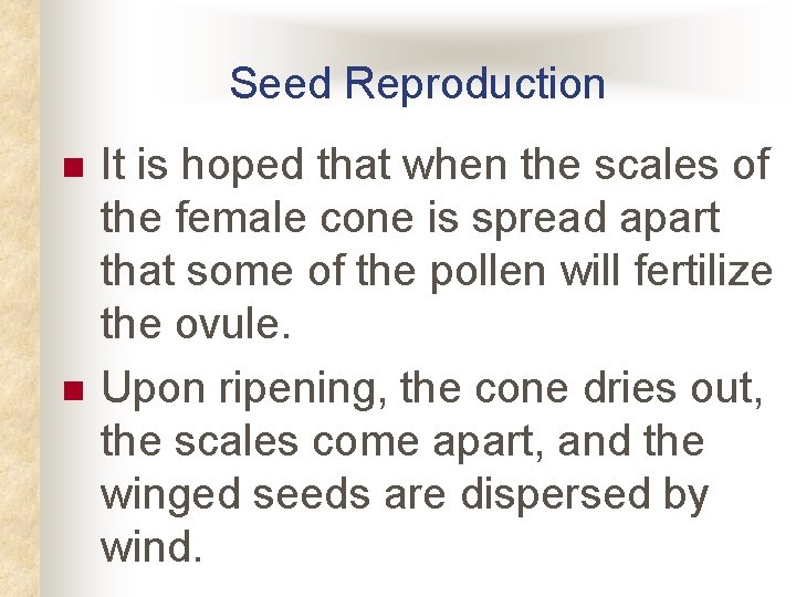 Seed Reproduction n n It is hoped that when the scales of the female