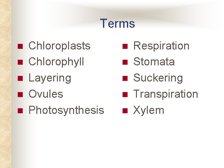 Terms n n n Chloroplasts Chlorophyll Layering Ovules Photosynthesis n n n Respiration Stomata