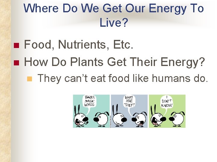 Where Do We Get Our Energy To Live? n n Food, Nutrients, Etc. How