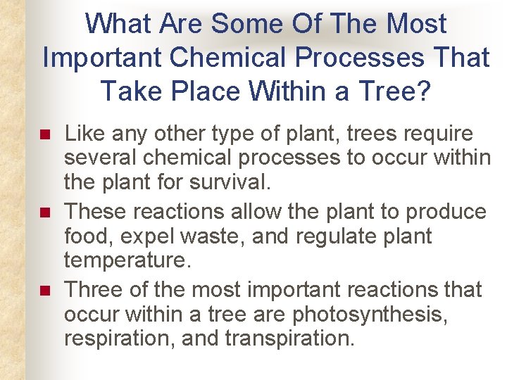 What Are Some Of The Most Important Chemical Processes That Take Place Within a