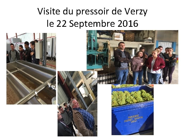 Visite du pressoir de Verzy le 22 Septembre 2016 