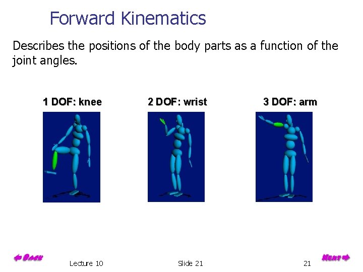 Forward Kinematics Describes the positions of the body parts as a function of the