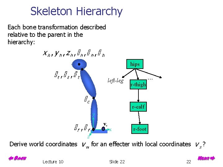 Skeleton Hierarchy Each bone transformation described relative to the parent in the hierarchy: hips