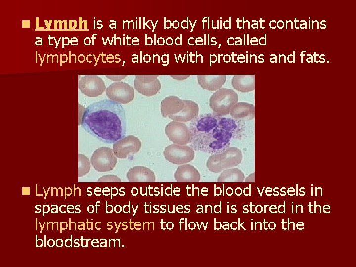 n Lymph is a milky body fluid that contains a type of white blood