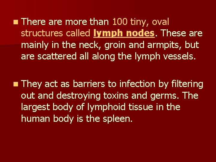 n There are more than 100 tiny, oval structures called lymph nodes. These are