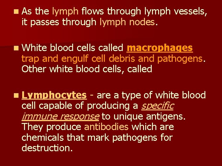 n As the lymph flows through lymph vessels, it passes through lymph nodes. n