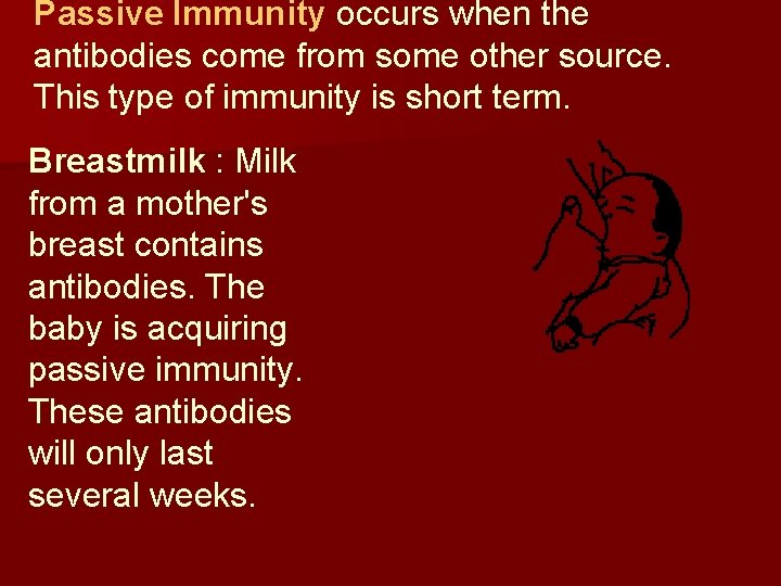 Passive Immunity occurs when the antibodies come from some other source. This type of