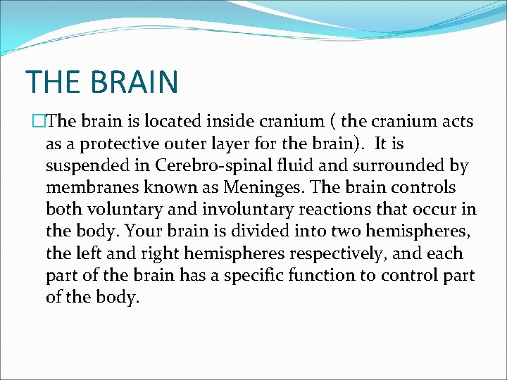 THE BRAIN �The brain is located inside cranium ( the cranium acts as a