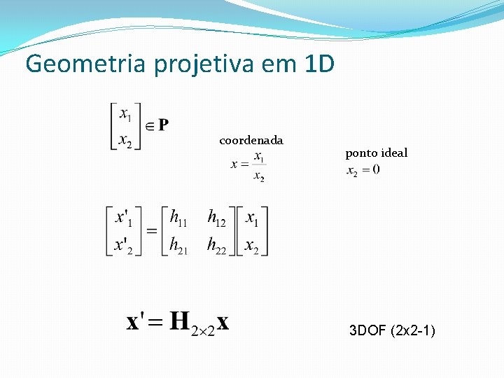 Geometria projetiva em 1 D coordenada ponto ideal 3 DOF (2 x 2 -1)