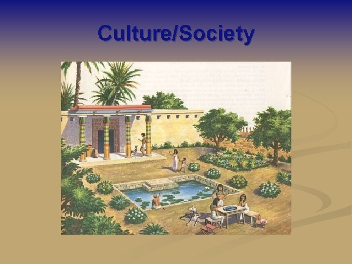 Culture/Society 