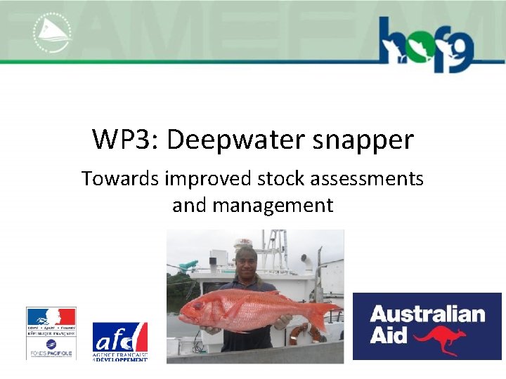 WP 3: Deepwater snapper Towards improved stock assessments and management 