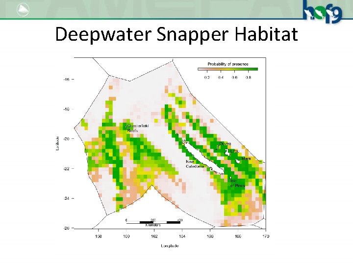 Deepwater Snapper Habitat 