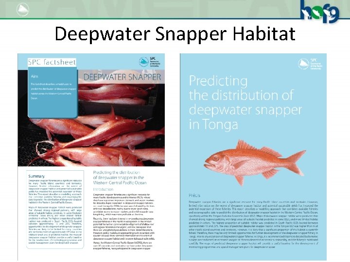 Deepwater Snapper Habitat 