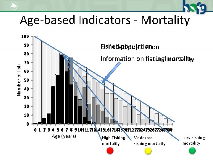 Age-based Indicators - Mortality 100 90 Fished population Unfished population Number of fish 80