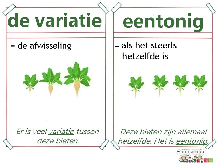 de variatie = de afwisseling Er is veel variatie tussen deze bieten. eentonig =