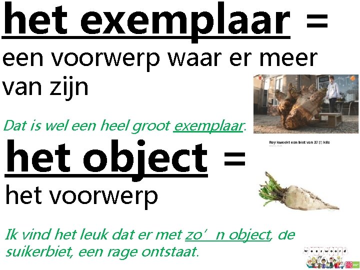 het exemplaar = een voorwerp waar er meer van zijn Dat is wel een