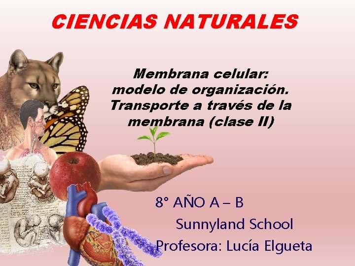 CIENCIAS NATURALES Membrana celular: modelo de organización. Transporte a través de la membrana (clase