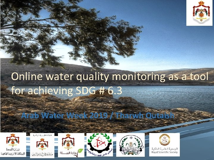 Online water quality monitoring as a tool for achieving SDG # 6. 3 Arab
