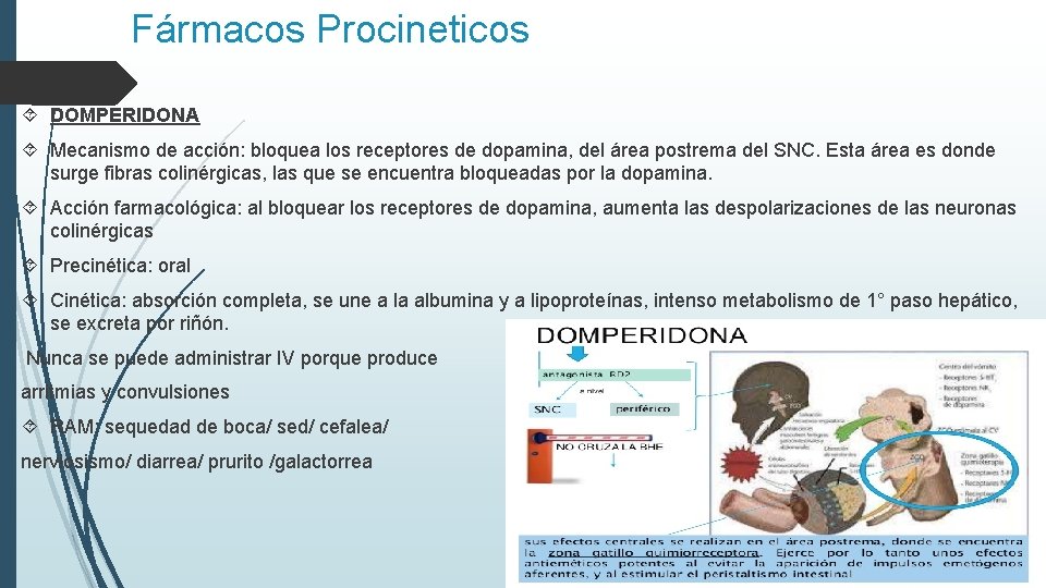 Fármacos Procineticos DOMPERIDONA Mecanismo de acción: bloquea los receptores de dopamina, del área postrema