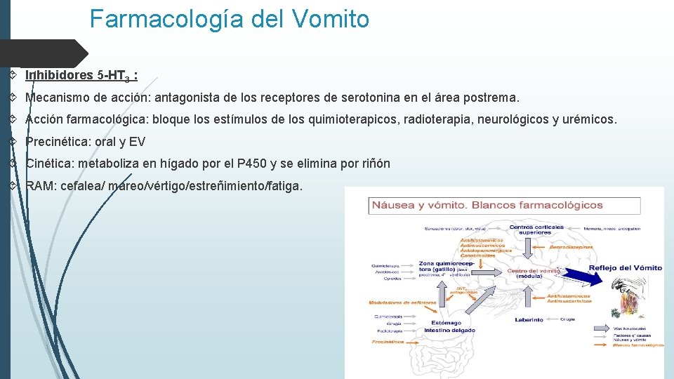 Farmacología del Vomito Inhibidores 5 -HT 3 : Mecanismo de acción: antagonista de los