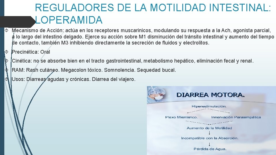 REGULADORES DE LA MOTILIDAD INTESTINAL: LOPERAMIDA Mecanismo de Acción: actúa en los receptores muscarinicos, REGULADORES DE LA MOTILIDAD INTESTINAL: LOPERAMIDA Mecanismo de Acción: actúa en los receptores muscarinicos,