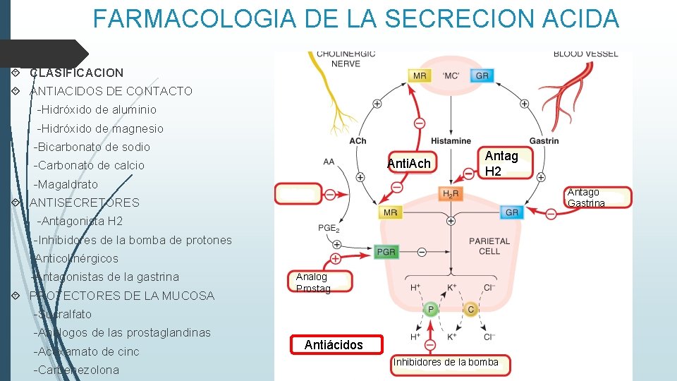 FARMACOLOGIA DE LA SECRECION ACIDA CLASIFICACION ANTIACIDOS DE CONTACTO -Hidróxido de aluminio -Hidróxido de FARMACOLOGIA DE LA SECRECION ACIDA CLASIFICACION ANTIACIDOS DE CONTACTO -Hidróxido de aluminio -Hidróxido de