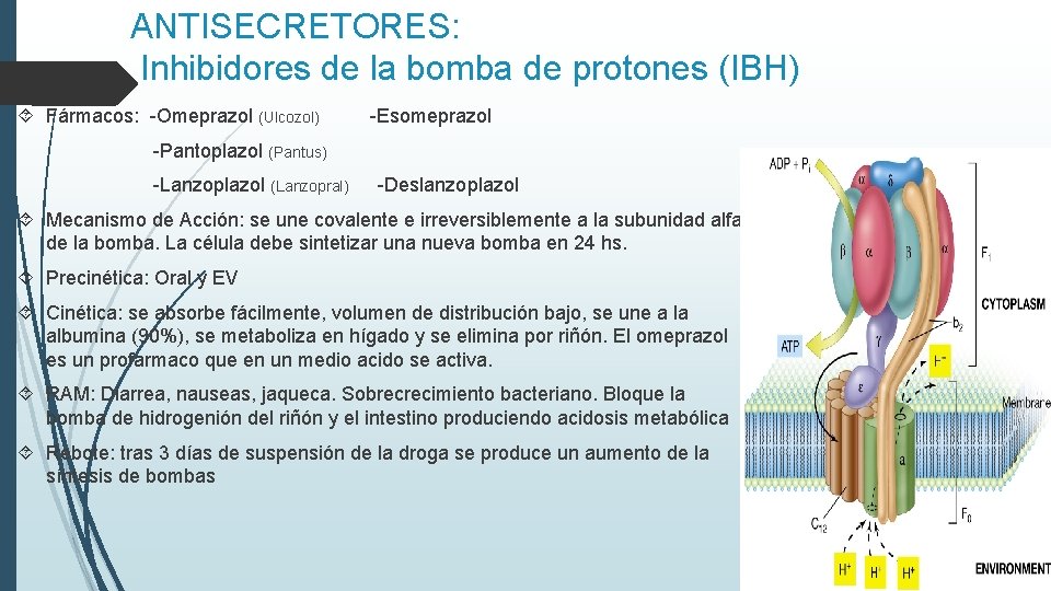 ANTISECRETORES: Inhibidores de la bomba de protones (IBH) Fármacos: -Omeprazol (Ulcozol) -Pantoplazol -Esomeprazol (Pantus)