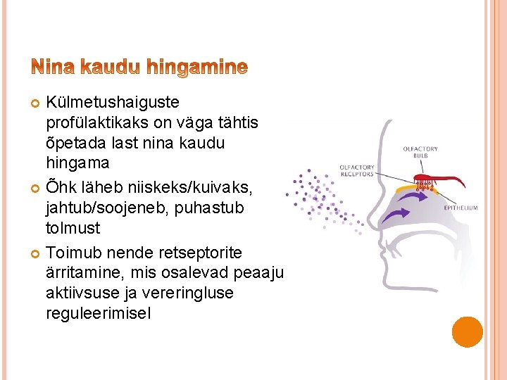 Külmetushaiguste profülaktikaks on väga tähtis õpetada last nina kaudu hingama Õhk läheb niiskeks/kuivaks, jahtub/soojeneb,