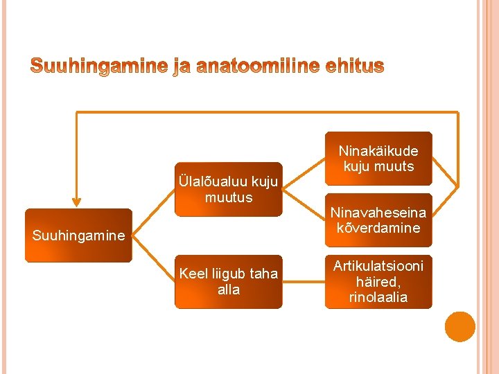 Ülalõualuu kuju muutus Suuhingamine Keel liigub taha alla Ninakäikude kuju muuts Ninavaheseina kõverdamine Artikulatsiooni