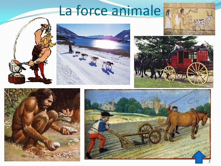 La force animale 3 