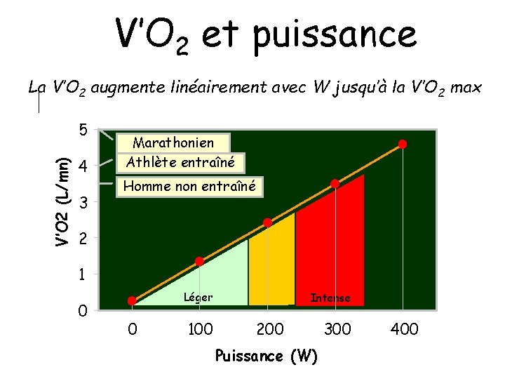 V’O 2 et puissance La V’O 2 augmente linéairement avec W jusqu’à la V’O