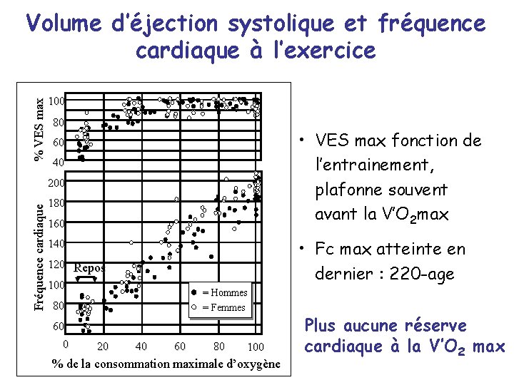 % VES max Volume d’éjection systolique et fréquence cardiaque à l’exercice 100 80 •