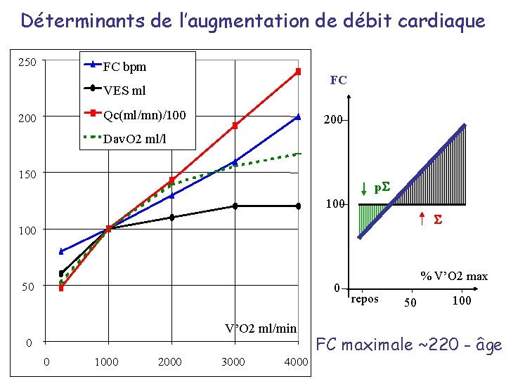 Déterminants de l’augmentation de débit cardiaque 250 FC bpm FC VES ml Qc(ml/mn)/100 200
