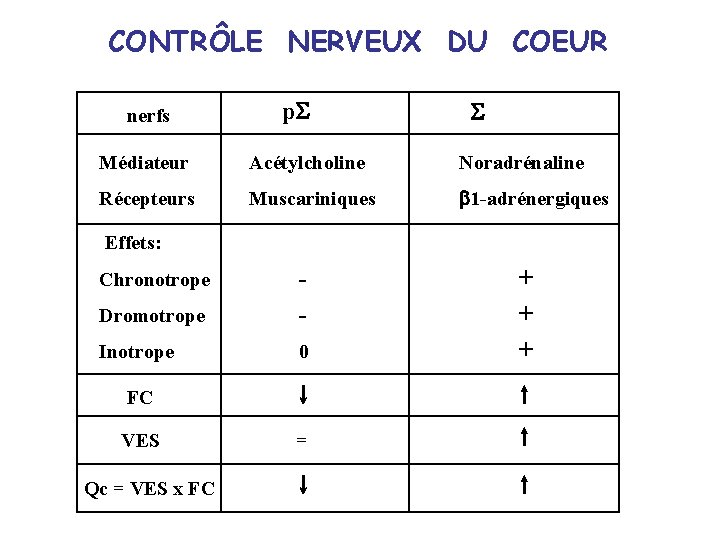 CONTRÔLE NERVEUX DU COEUR nerfs p. S S Médiateur Acétylcholine Noradrénaline Récepteurs Muscariniques b
