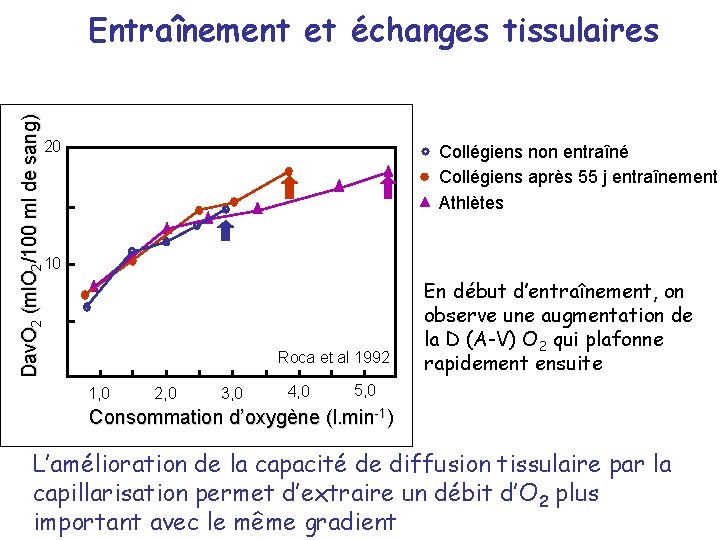 Dav. O 2 (ml. O 2/100 ml de sang) Entraînement et échanges tissulaires 20