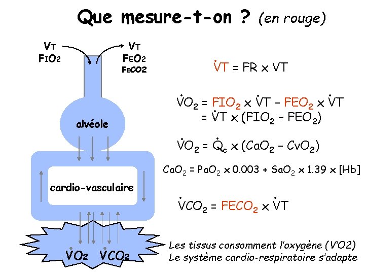 Que mesure-t-on ? VT F IO 2 VT F EO 2 . VT =