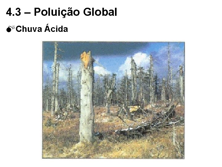 4. 3 – Poluição Global MChuva Ácida 