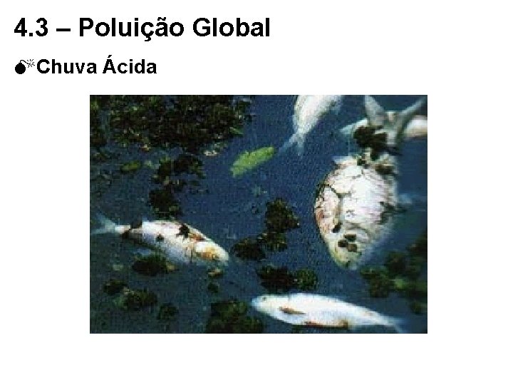 4. 3 – Poluição Global MChuva Ácida 