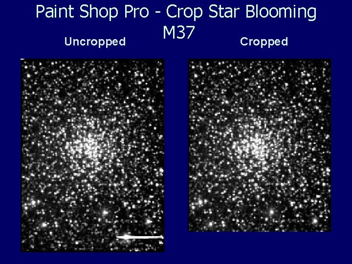 Paint Shop Pro - Crop Star Blooming M 37 Uncropped Cropped 