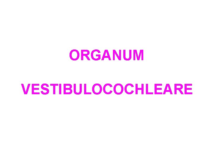 ORGANUM VESTIBULOCOCHLEARE 
