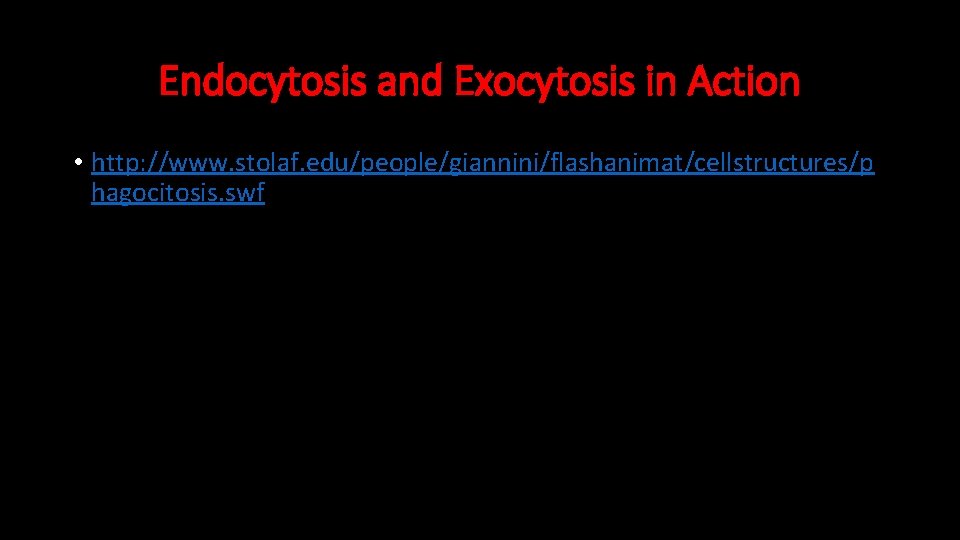 Endocytosis and Exocytosis in Action • http: //www. stolaf. edu/people/giannini/flashanimat/cellstructures/p hagocitosis. swf 