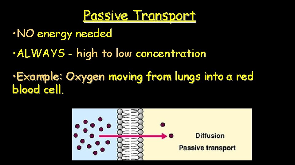 Passive Transport • NO energy needed • ALWAYS - high to low concentration •