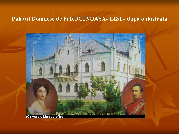 Palatul Domnesc de la RUGINOASA- IASI - dupa o ilustrata 