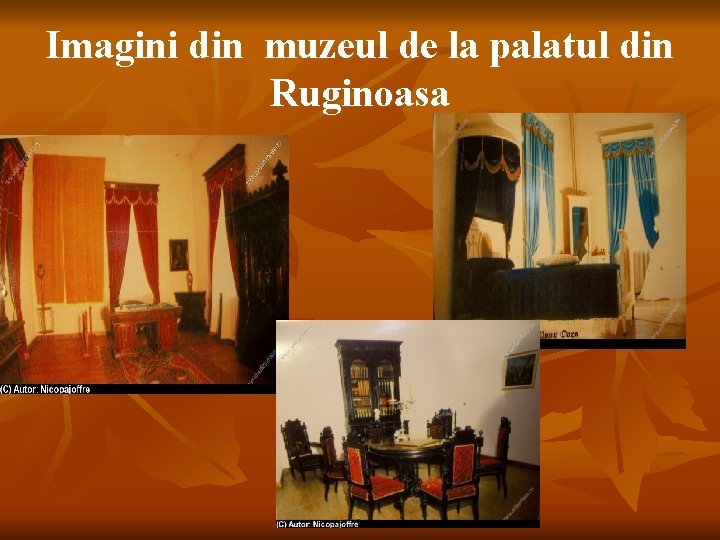 Imagini din muzeul de la palatul din Ruginoasa 
